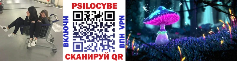 Псилоцибиновые грибы Psilocybe  наркота  Руза 